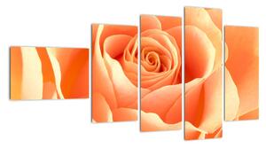Obraz oranžové ruže (Obraz 110x60cm)