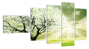 Jarný strom - moderný obraz (Obraz 110x60cm)