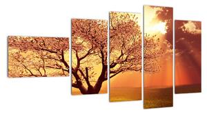 Obraz prírody - strom (Obraz 110x60cm)