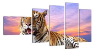 Obraz ležiaceho tigra (Obraz 110x60cm)