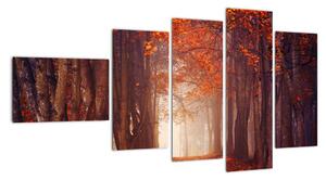 Jesenné les - obraz (Obraz 110x60cm)