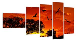 Obraz zapadajúceho slnka s vtákmi (Obraz 110x60cm)