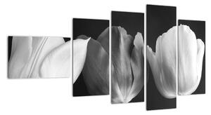 Čiernobiely obraz - tri tulipány (Obraz 110x60cm)