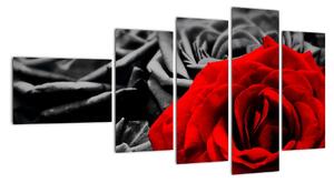 Obraz červené ruže (Obraz 110x60cm)