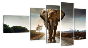 Obraz kráčajúceho slona (Obraz 110x60cm)