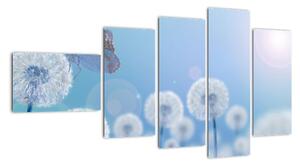 Obraz púpav na modrom pozadí (Obraz 110x60cm)