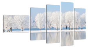Obraz - zimná príroda (Obraz 110x60cm)