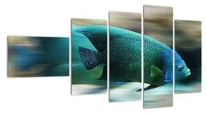Obraz na stenu - ryby (Obraz 110x60cm)