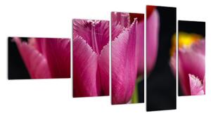 Tulipány - obrazy (Obraz 110x60cm)