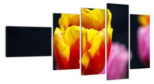Obraz tulipánu (Obraz 110x60cm)