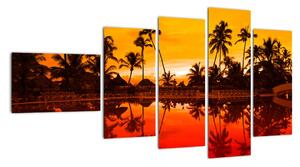 Obraz - tropická krajina (Obraz 110x60cm)