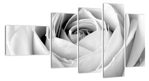 Čiernobiely obraz ruže (Obraz 110x60cm)