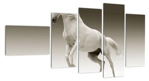 Obrazy bieleho koňa (Obraz 110x60cm)