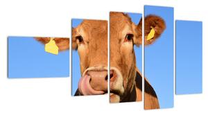 Obraz kravy (Obraz 110x60cm)