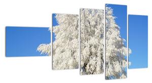 Zasnežený strom - obraz (Obraz 110x60cm)