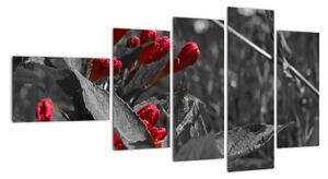 Červené kvety - moderné obrazy (Obraz 110x60cm)