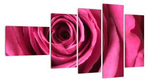 Obraz ružové ruže (Obraz 110x60cm)
