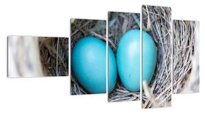 Obraz modrých vajíčok v hniezde (Obraz 110x60cm)