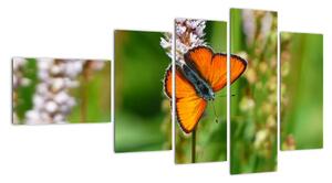 Moderný obraz motýľa na lúke (Obraz 110x60cm)