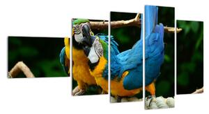 Obraz papagájov na lane (Obraz 110x60cm)