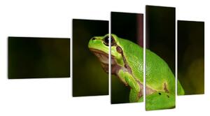 Obraz žaby (Obraz 110x60cm)
