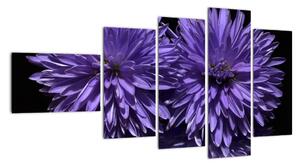 Obraz fialových kvetov (Obraz 110x60cm)