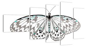 Čiernobiely motýľ (Obraz 110x60cm)