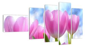 Obraz ružových tulipánov (Obraz 110x60cm)