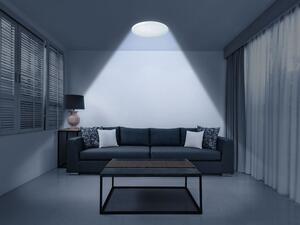 Livarno home Stropné LED svietidlo (100342605)
