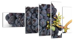 Obraz s hroznovým vínom (Obraz 110x60cm)