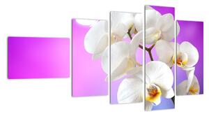Obraz s orchideí (Obraz 110x60cm)