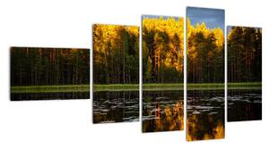 Obraz - jesenná krajina (Obraz 110x60cm)