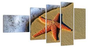 Obraz s morskou hviezdou (Obraz 110x60cm)
