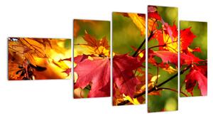 Jesenné lístie, obraz (Obraz 110x60cm)