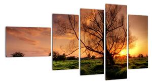Západ slnka, obrazy (Obraz 110x60cm)