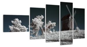 Veterný mlyn, obraz (Obraz 110x60cm)