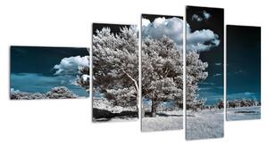 Strom v zime, obraz na stenu (Obraz 110x60cm)