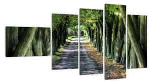 Údolie stromov, obrazy (Obraz 110x60cm)