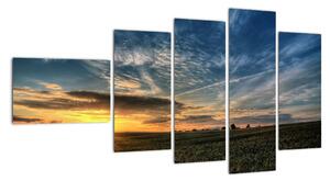 Západ slnka na poli - moderný obraz (Obraz 110x60cm)