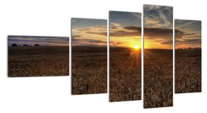 Západ slnka na poli - obraz na stenu (Obraz 110x60cm)