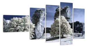 Zimná krajina - obraz do bytu (Obraz 110x60cm)