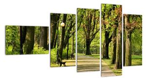 Cesta v parku - obraz (Obraz 110x60cm)