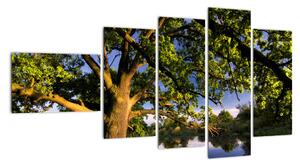 Obraz stromu (Obraz 110x60cm)