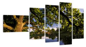 Obrázok stromu - moderné obrazy (Obraz 110x60cm)