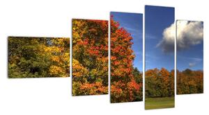 Jesenné stromy - obraz (Obraz 110x60cm)
