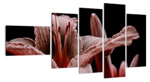 Detail kvety - obraz (Obraz 110x60cm)