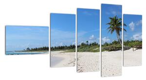 Exotická pláž - obraz (Obraz 110x60cm)