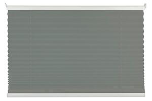 PLISOVANÁ ROLETA, polopriehľadné, 80/210 cm Homeware - Záclony & závesy
