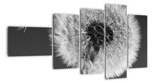 Odkvitnutá púpava - obraz kvetín (Obraz 110x60cm)