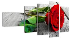 Ruža červená - obraz (Obraz 110x60cm)